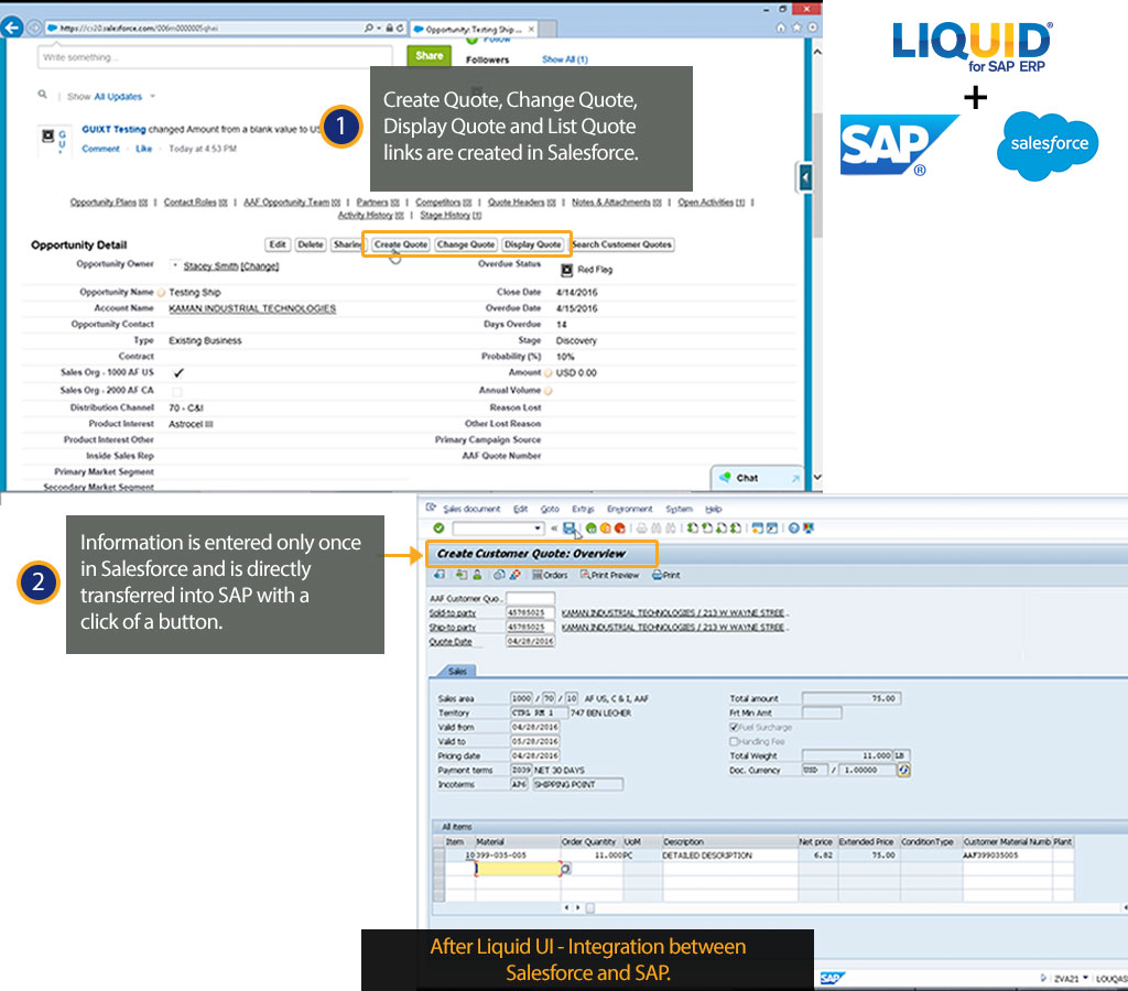 Liquid UI for SAP GUI - SAP SD - Salesforce and SAP Integration