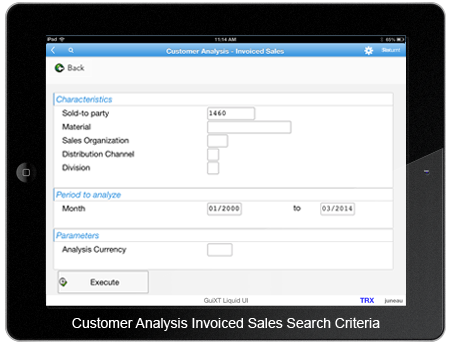 Customer Analysis Invoiced Sales Search Criteria