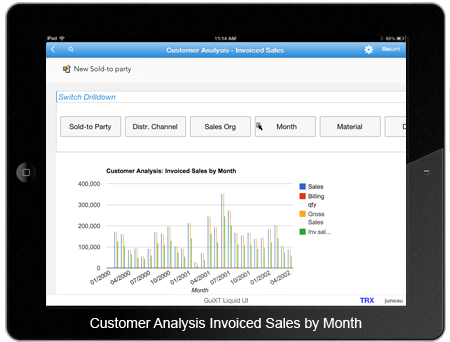 Customer Analysis Invoiced Sales By Months