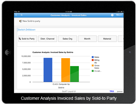 Customer Analysis Invoiced Sales by Sold-to Party
